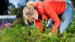 GARDENING TIPS - HOW TO DO AVOID PAIN WHILE GARDENING THIS SPRING
